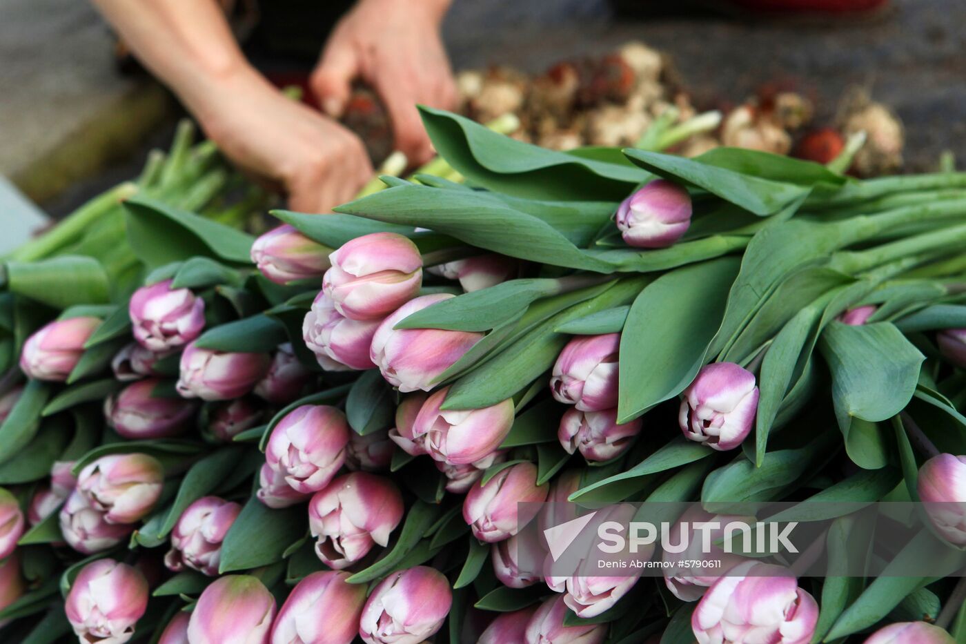 Russia Flowers