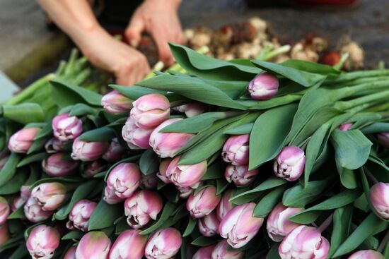 Russia Flowers