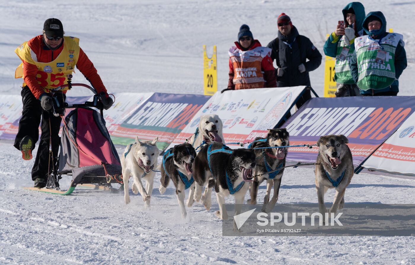 Russia Dog Sled Race