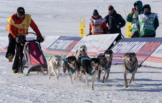 Russia Dog Sled Race