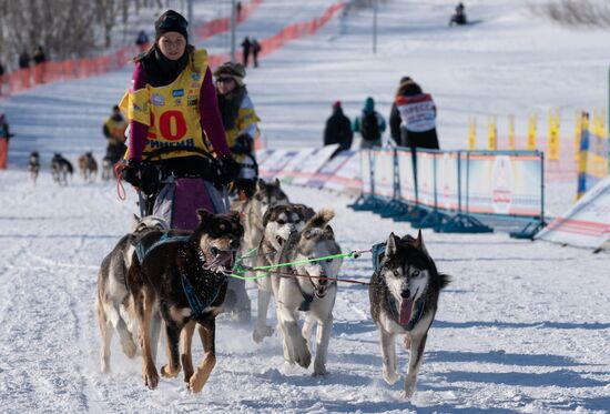 Russia Dog Sled Race