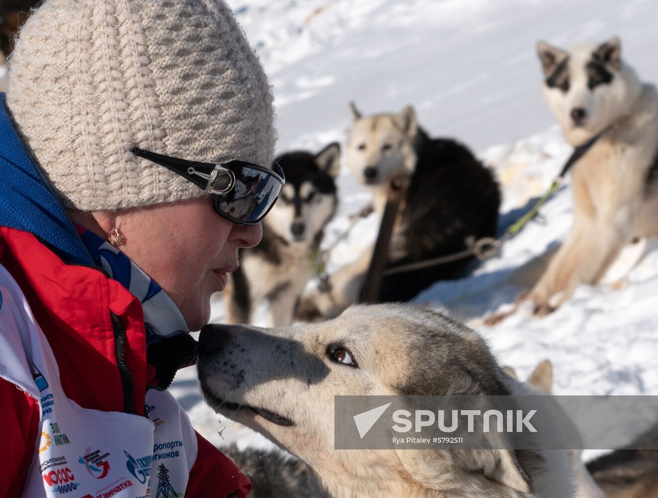 Russia Dog Sled Race