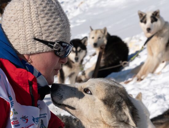 Russia Dog Sled Race