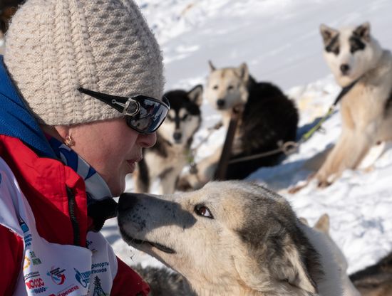 Russia Dog Sled Race