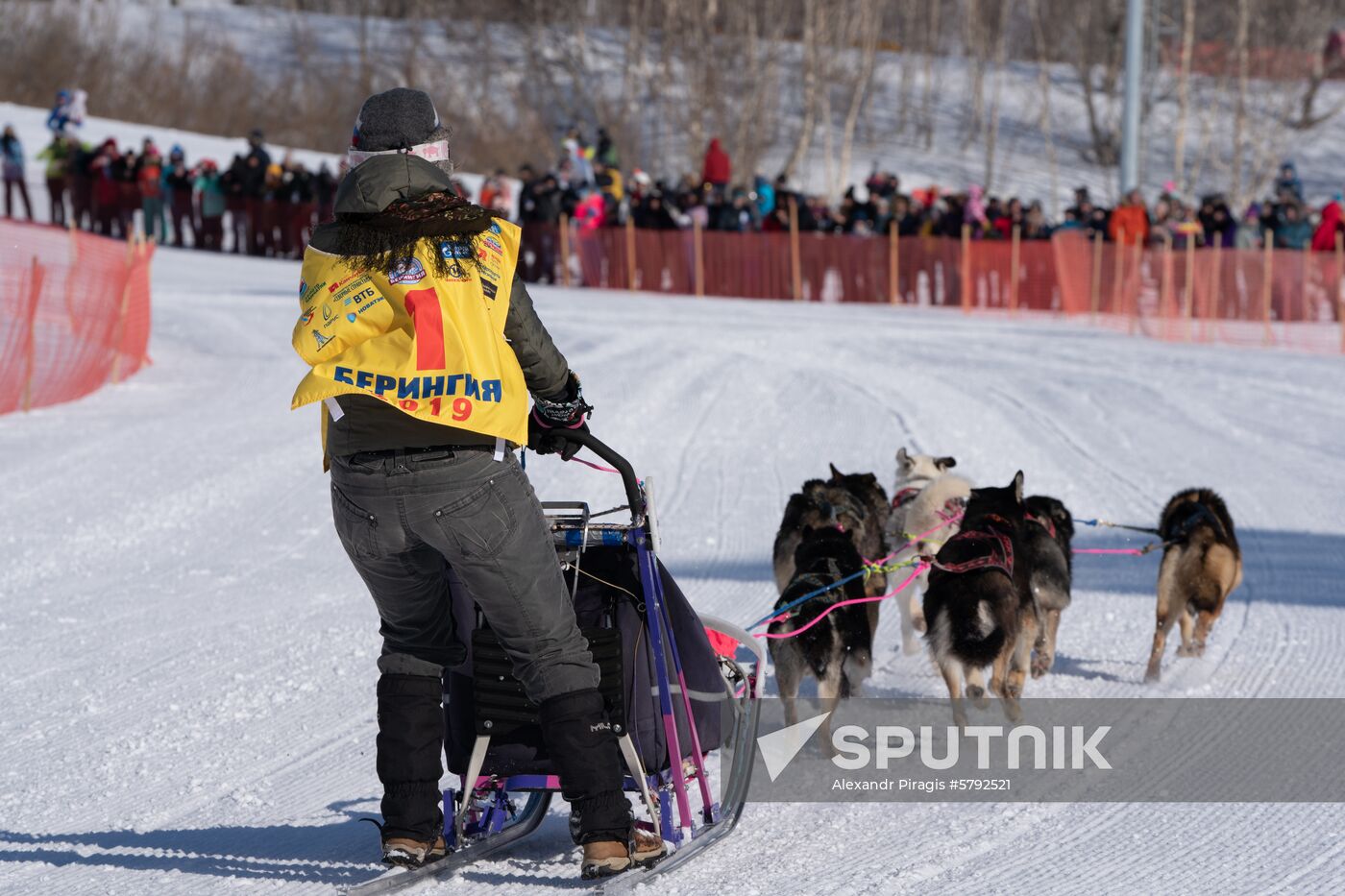 Russia Dog Sled Race