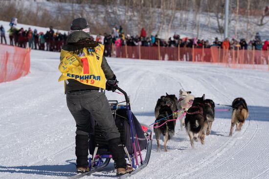 Russia Dog Sled Race