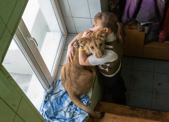 Russia Wild Animals Rehabilitation Centre