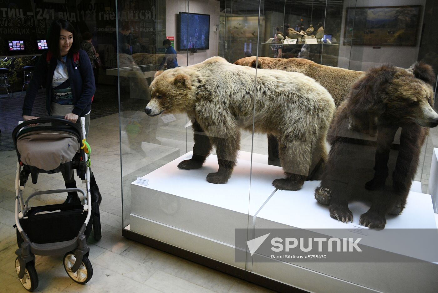 Russia Darwin Museum