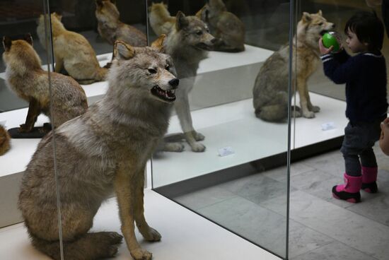 Russia Darwin Museum