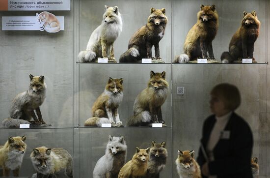 Russia Darwin Museum