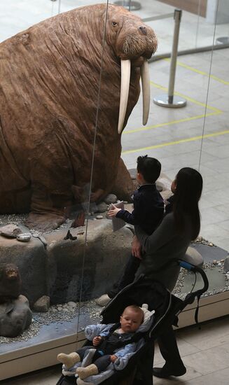 Russia Darwin Museum