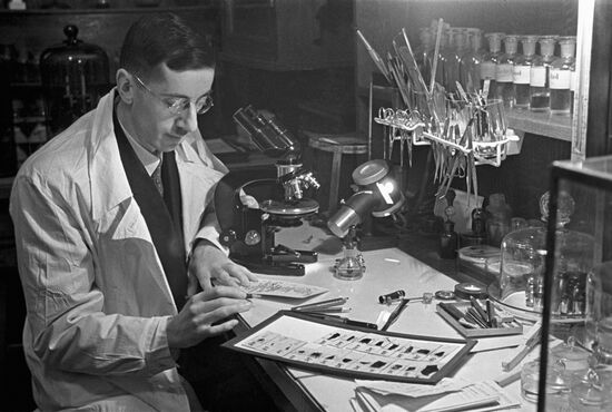 Histologist Mikhail Baron