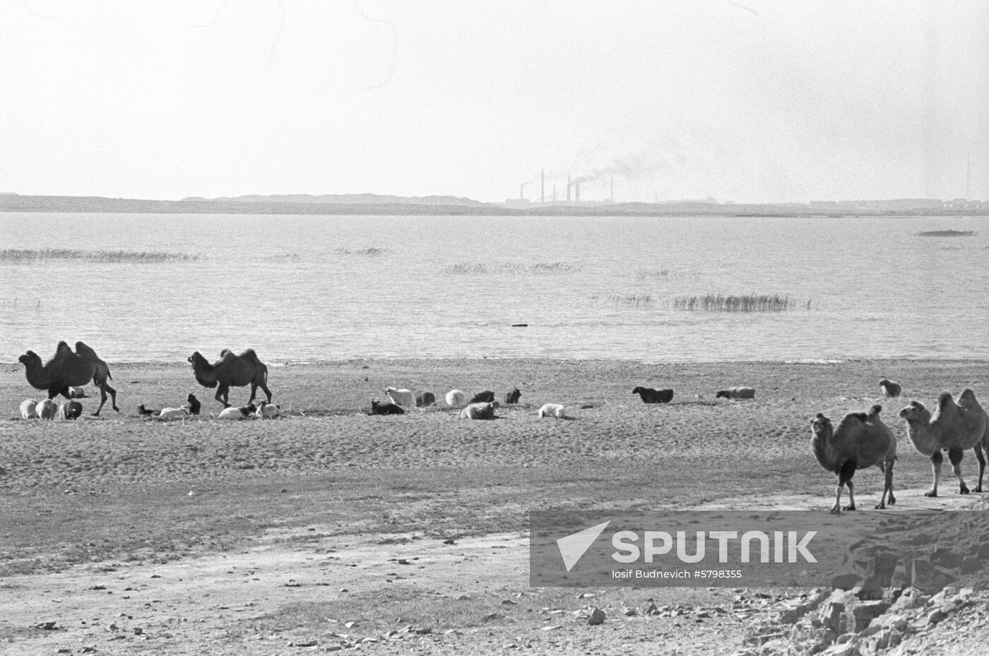 Lake Balkhash