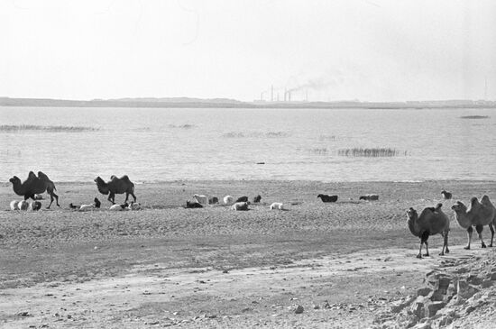 Lake Balkhash