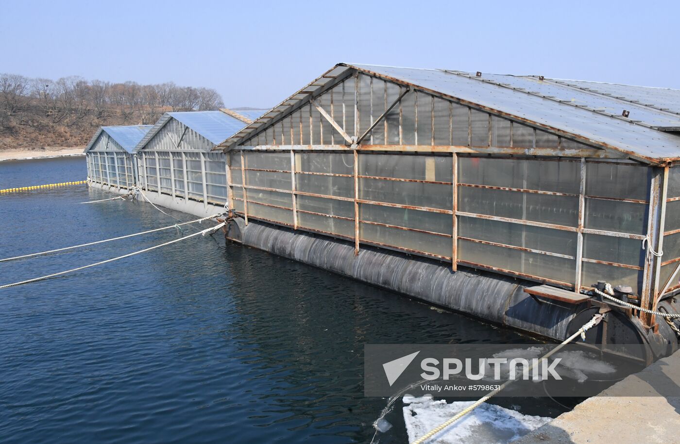 Russia Whale Prison