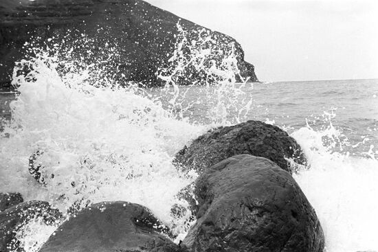 Shikotan Island