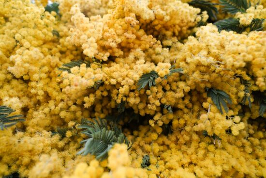 Russia Flowers