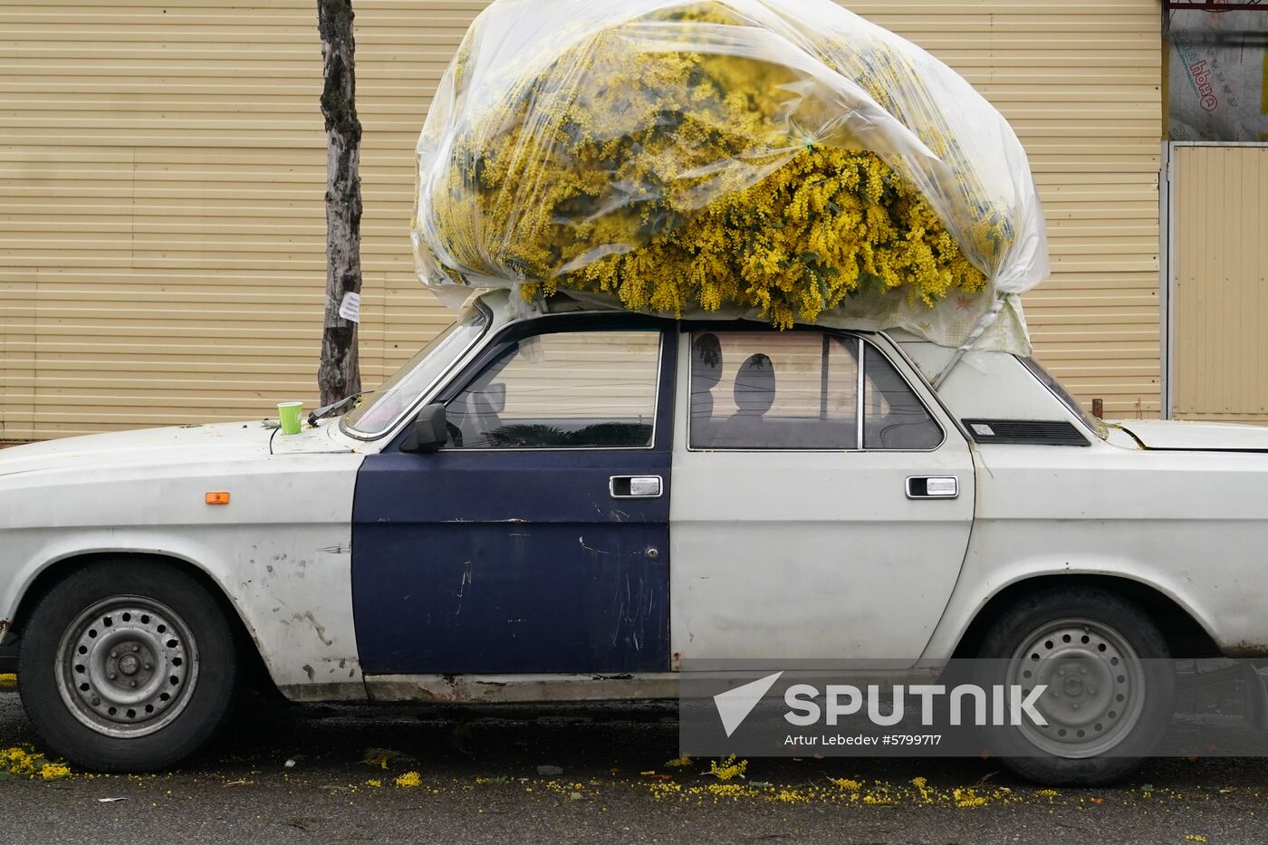 Russia Flowers