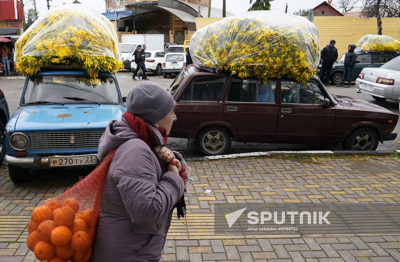 Russia Flowers