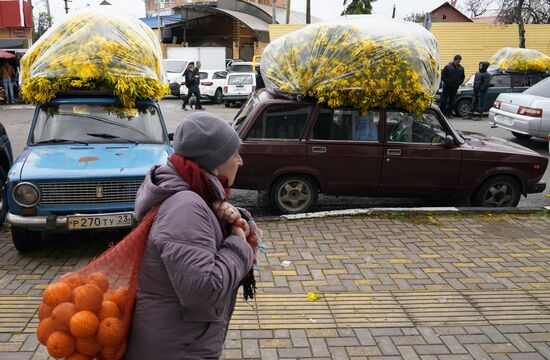 Russia Flowers