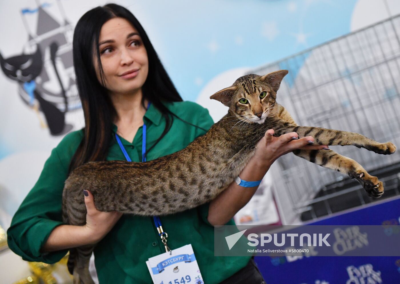 Russia Cats Show