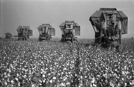 Cotton harvesters
