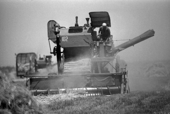 Communist Beacon collective farm