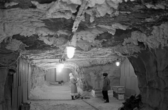 Shergin Mine