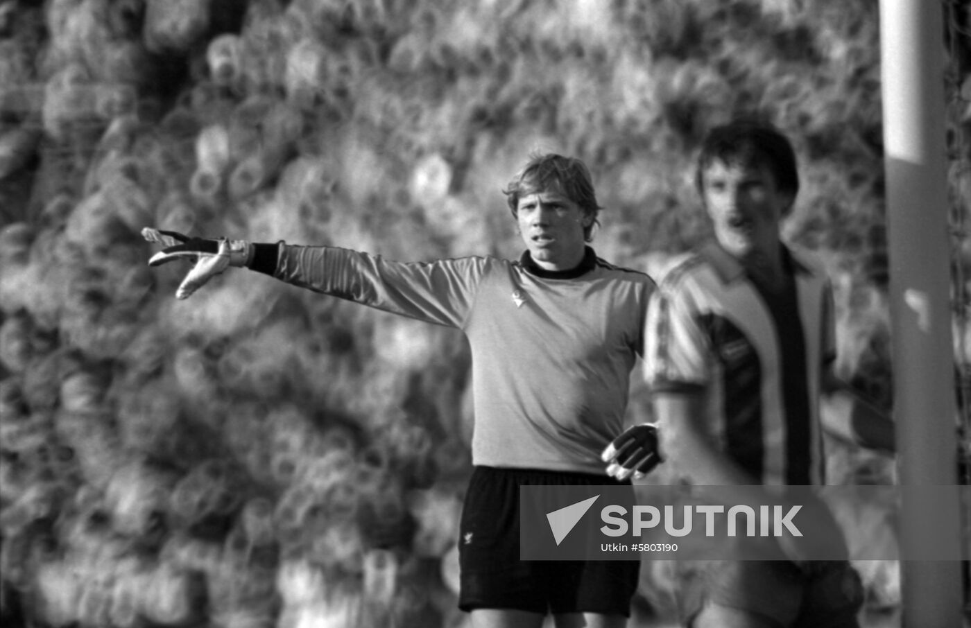 Footballer Alexei Prudnikov