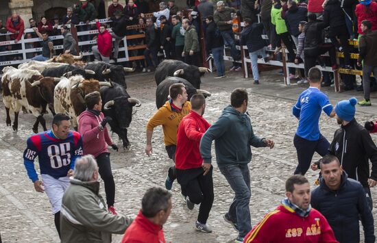 Spain Bull Carnival