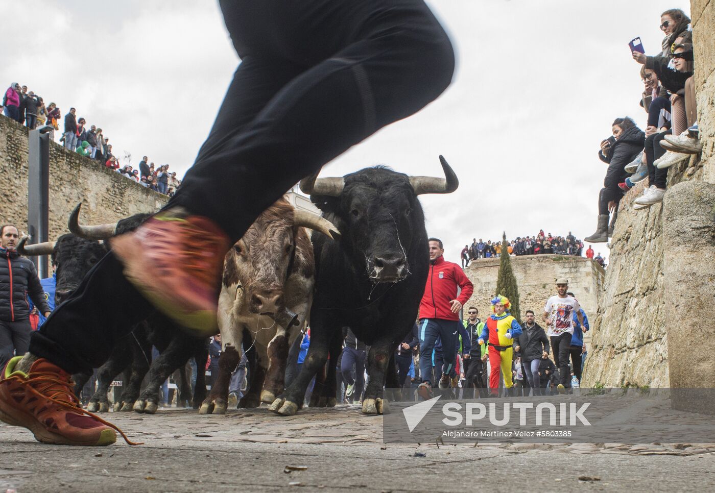 Spain Bull Carnival