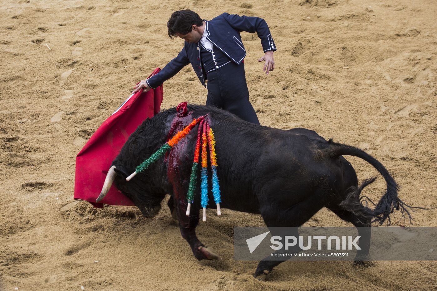 Spain Bull Carnival