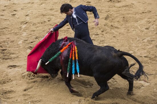 Spain Bull Carnival