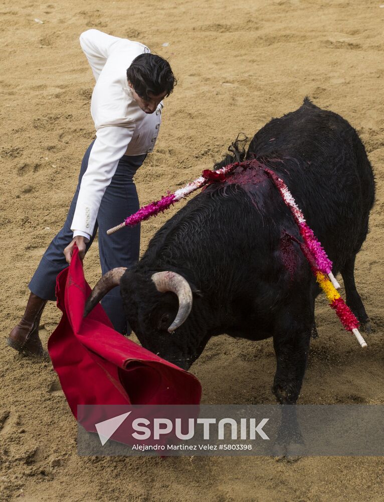 Spain Bull Carnival
