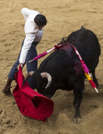 Spain Bull Carnival