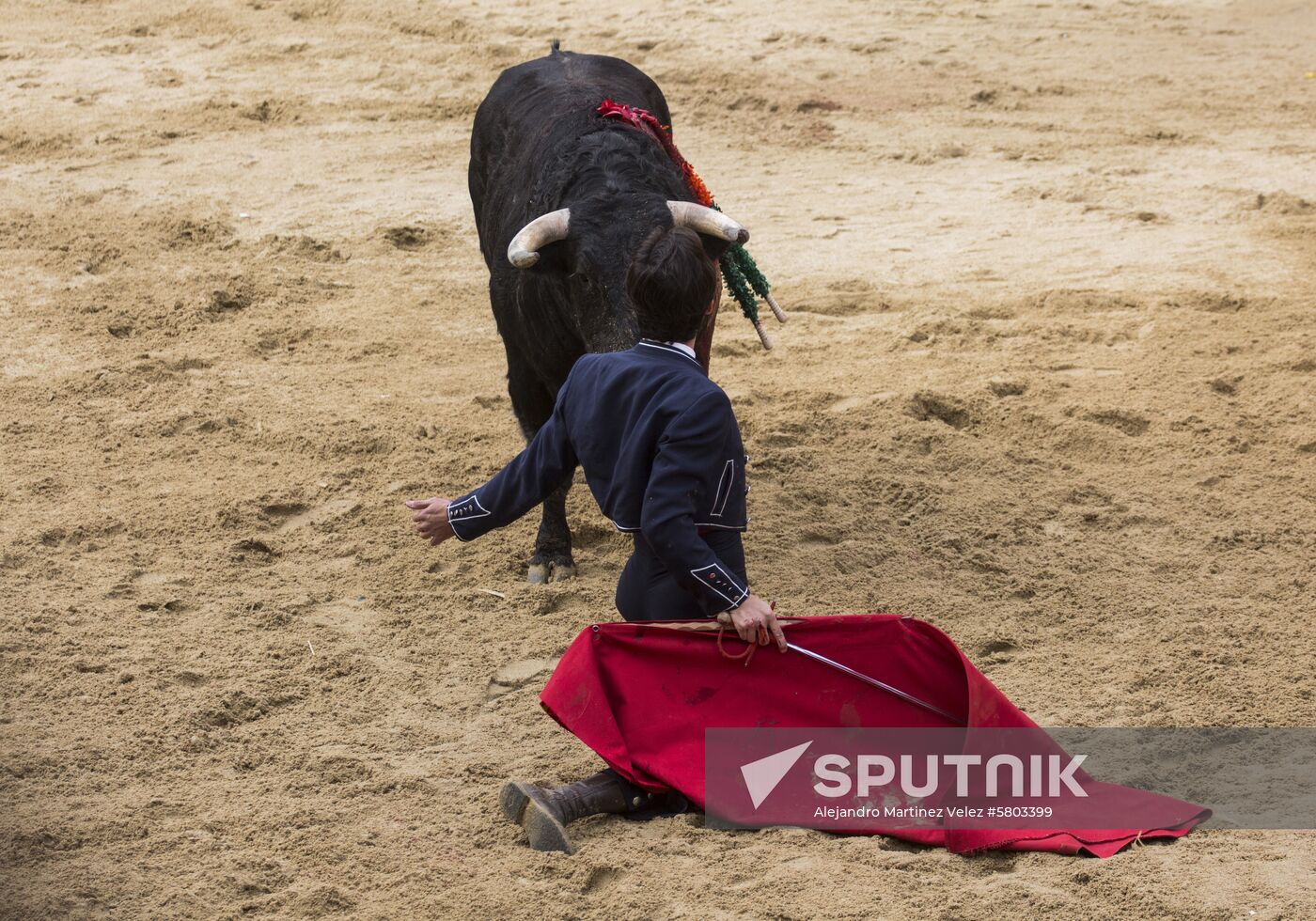 Spain Bull Carnival