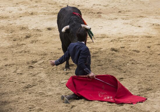 Spain Bull Carnival