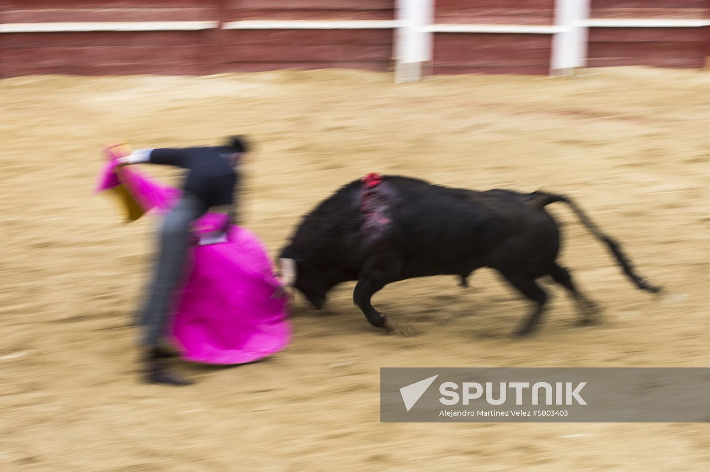 Spain Bull Carnival