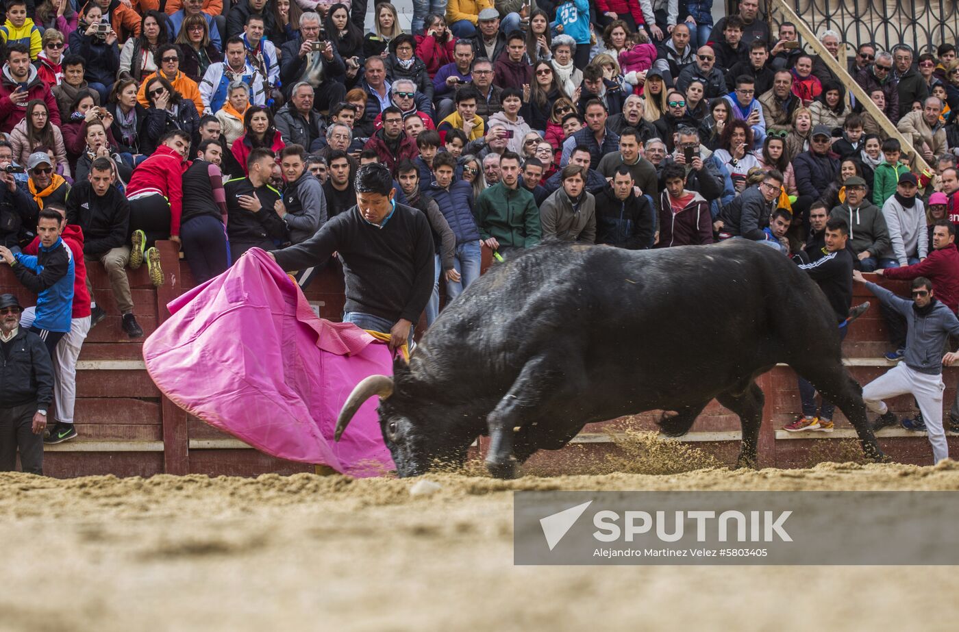 Spain Bull Carnival