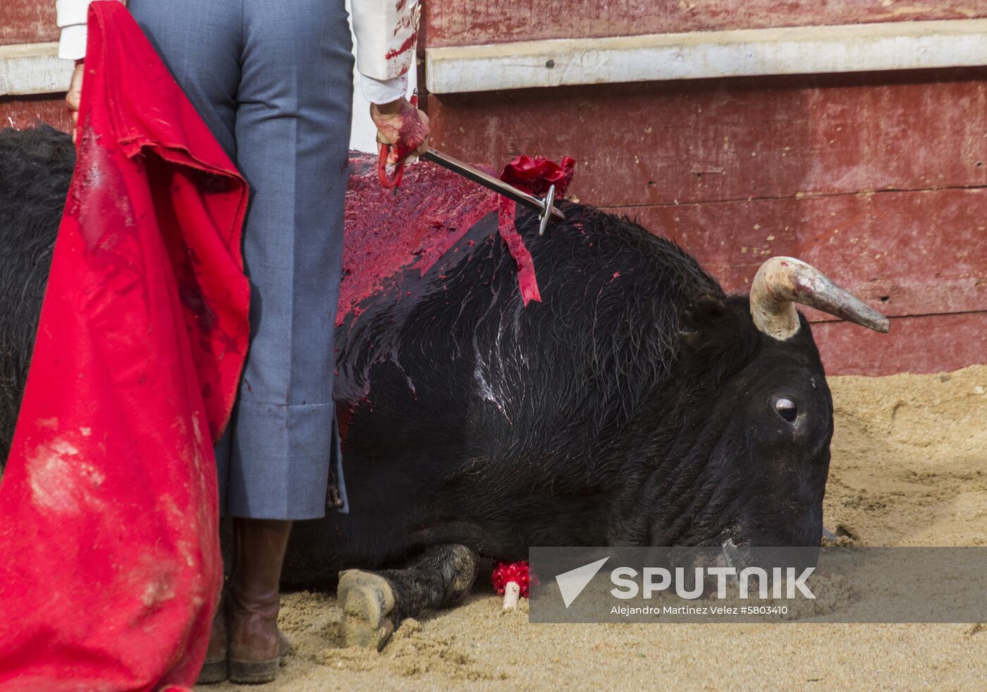 Spain Bull Carnival