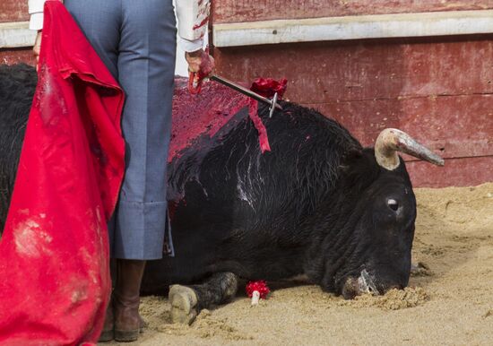 Spain Bull Carnival