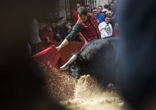 Spain Bull Carnival