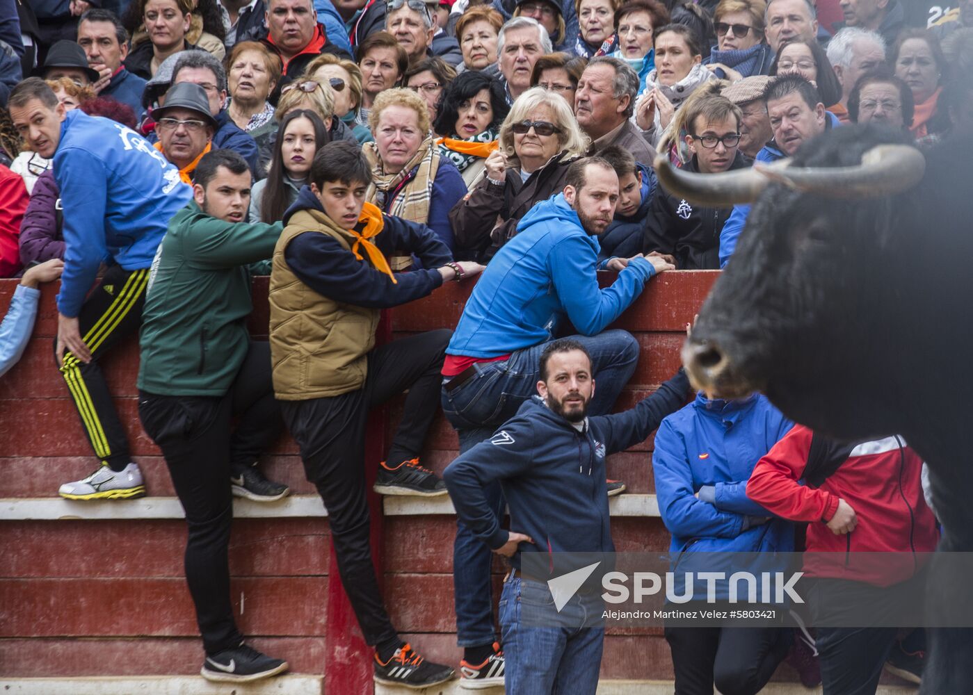 Spain Bull Carnival