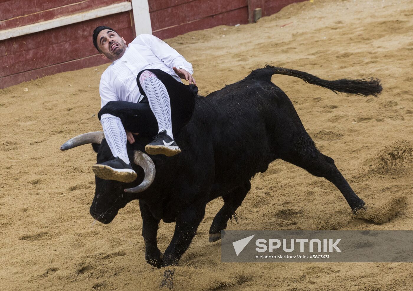 Spain Bull Carnival
