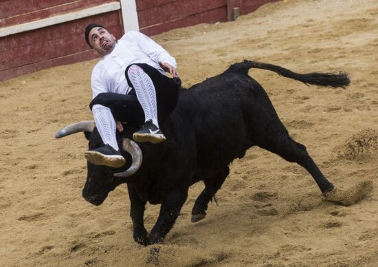 Spain Bull Carnival