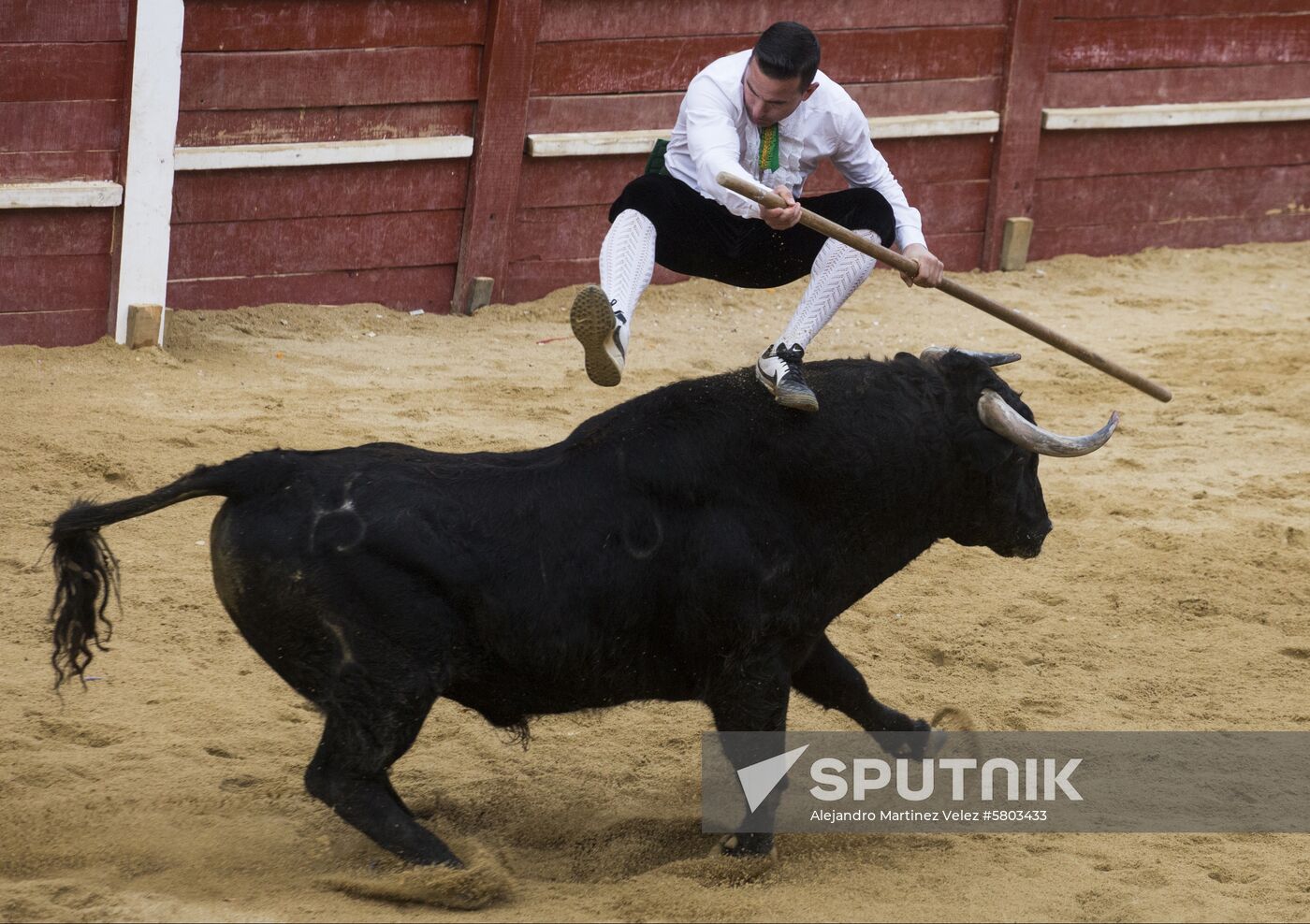 Spain Bull Carnival