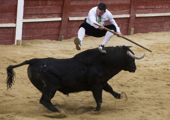 Spain Bull Carnival