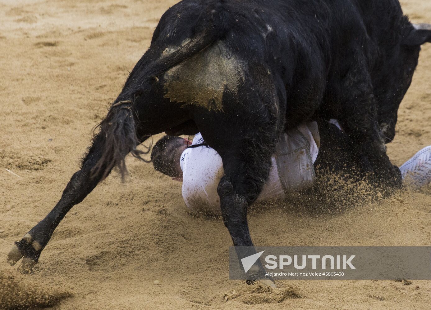 Spain Bull Carnival
