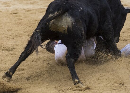Spain Bull Carnival