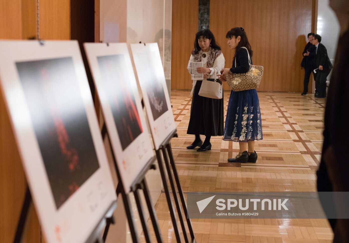 Japan Stenin Photo Contest